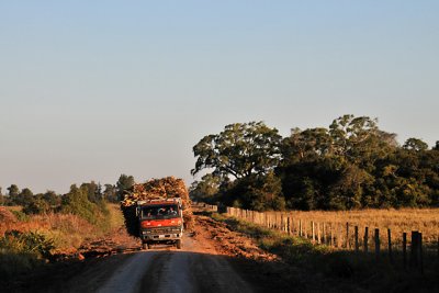 Tres Cruces Mennonite Colony, Pailon, Santa Cruz, Bolivia