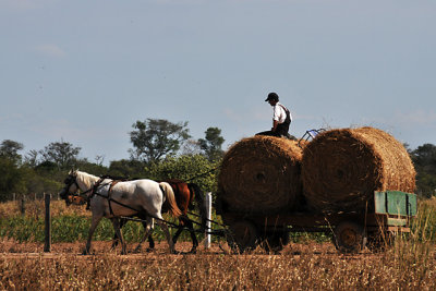 Tres Cruces Mennonite Colony, Pailon, Santa Cruz, Bolivia