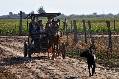 Tres Cruces Mennonite Colony, Pailon, Santa Cruz, Bolivia