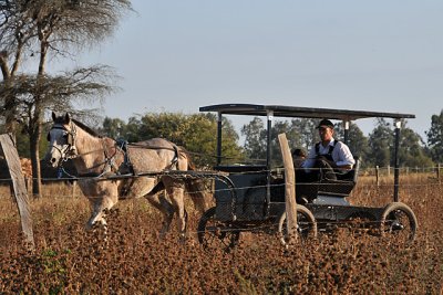 Tres Cruces Mennonite Colony, Pailon, Santa Cruz, Bolivia