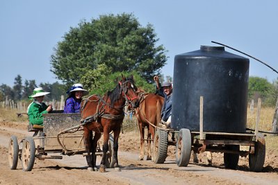 Tres Cruces Mennonite Colony, Pailon, Santa Cruz, Bolivia