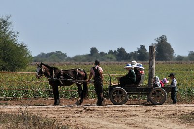 Tres Cruces Mennonite Colony, Pailon, Santa Cruz, Bolivia