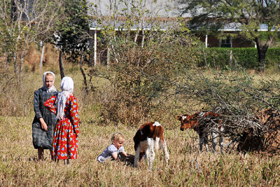 Tres Cruces Mennonite Colony, Pailon, Santa Cruz, Bolivia