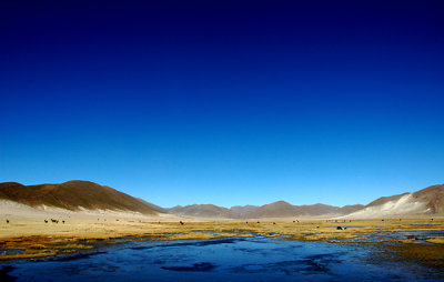 Altiplano Sky