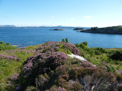 View from Paalsneset