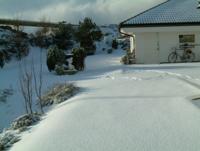 Winter at Paalsneset