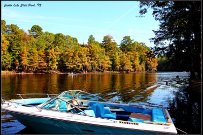 caddo_lake