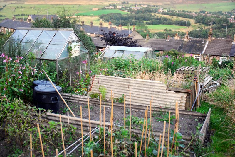 Allotments in Roughtown Mossley