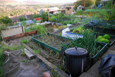 Allotments