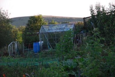 Allotments in Roughtown Mossley