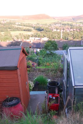 Allotment sheds and greenhouse