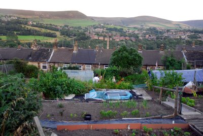 Allotment in Roughtown Mossley