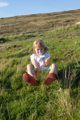 Amber sat on the moorland grass