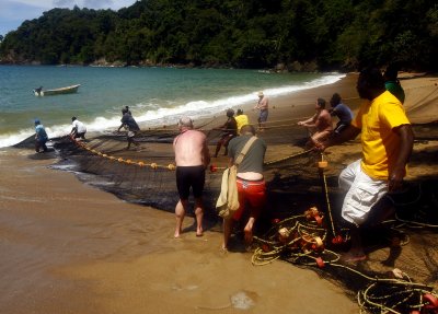 dragging in the nets 2