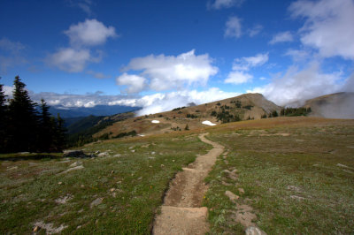 hiking trail-Olympic National Park