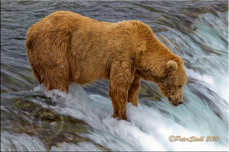 Looking-down-the-falls.jpg