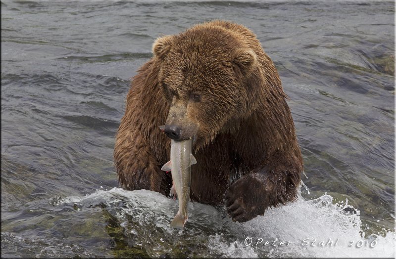 Mouthful.jpg