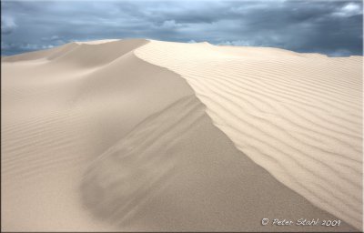 Sand Dunes.jpg