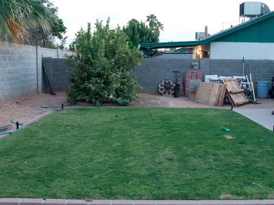 Back Lawn 10_20_10 02.jpg