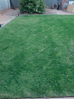 Back Lawn 10_20_10 03.jpg