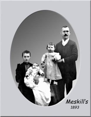 Meskill's 1893  a PSE8 Update