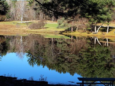 The Trout Pond