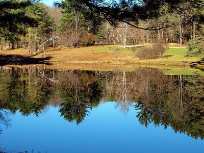 The Trout Pond Again