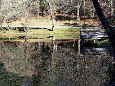 Trout Pond