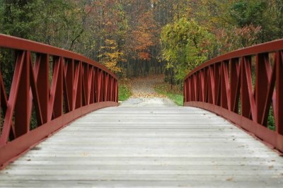 Over the Bridge and thru the Woods
