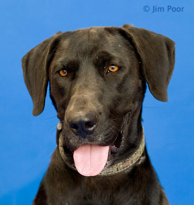 LDCR-Roxie-7818.jpg