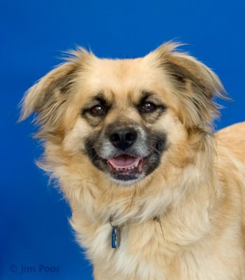 LDCR-SmileyJoe-7779.jpg