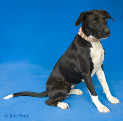 LDCR-Gracie-7934.jpg