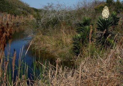 Great Heron Trail