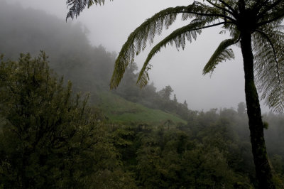 Mountain Rain