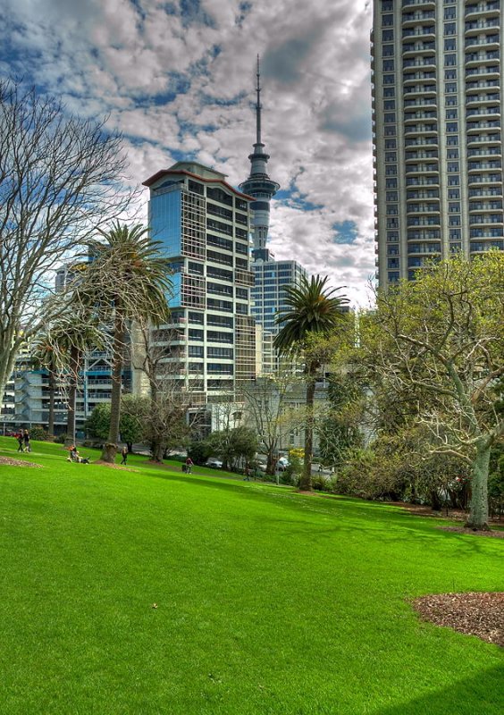 Skytower from Albert Park