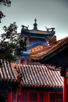 Forbidden City 15