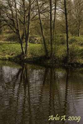 Kułygi