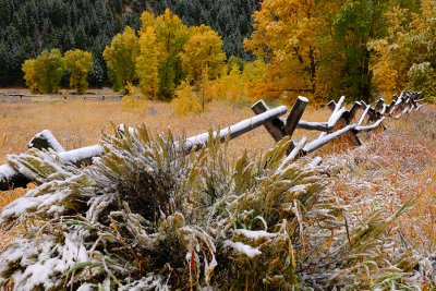 Jackson Hole and the Tetons