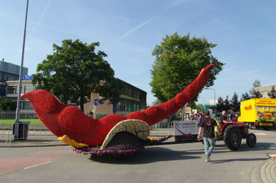 Fruitcorso