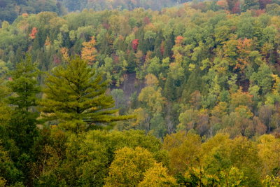 _MG_6261.JPG