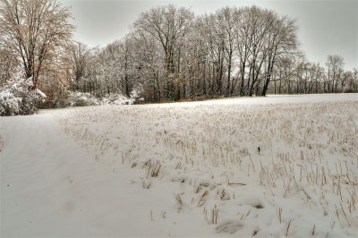 April Snow '09