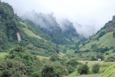 Pastoral Scenes in Ecuador