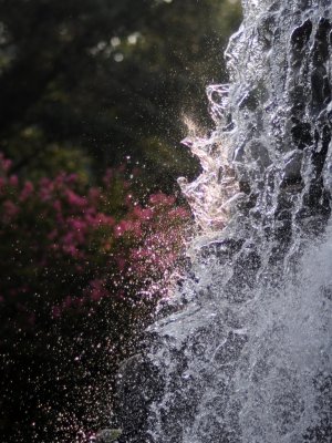 DSC_3610.jpg