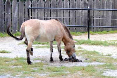 DSC_3674.jpg