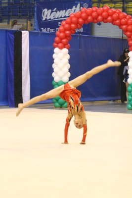 IMG_4236.jpg