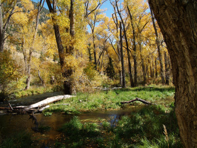 Colorado and New Mexico