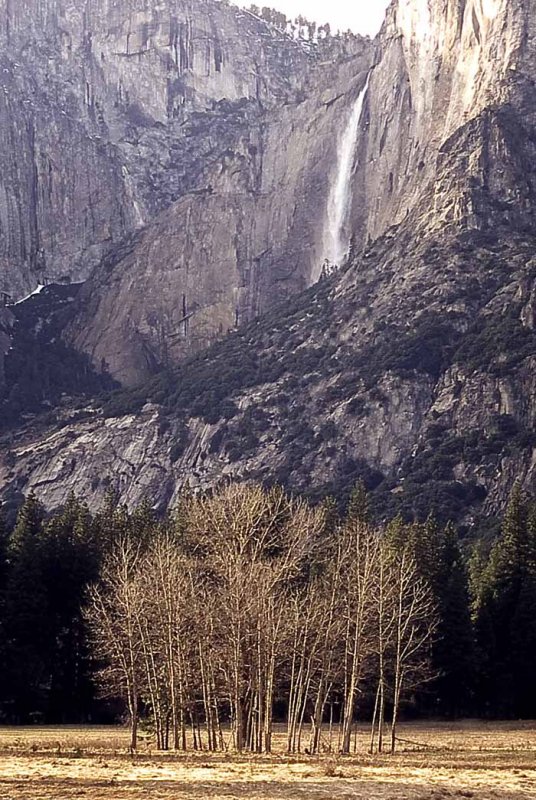 Upper Yosemite Falls copy