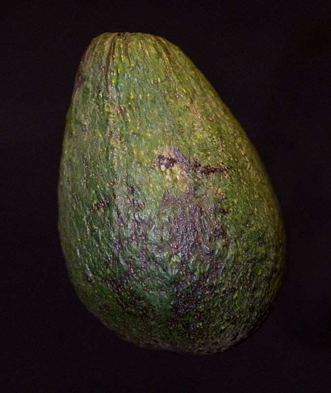 Keikos Avocado
