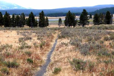 Yellowstone Tour  04