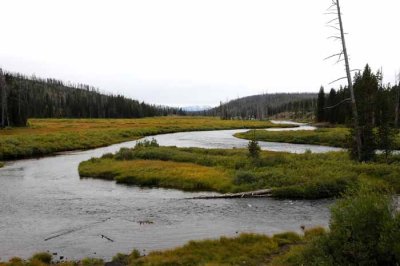 Yellowstone Tour  09